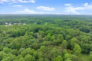 802 Old Mill Trail, Ball Ground, GA 30107 - Photo 87