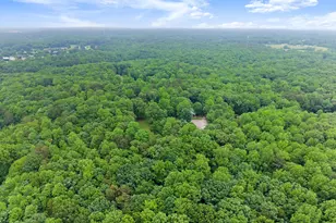 802 Old Mill Trail, Ball Ground, GA 30107 - Photo 81