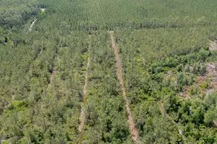 989 Ralph Davis Rd, Folkston, GA 31537 - Photo 53