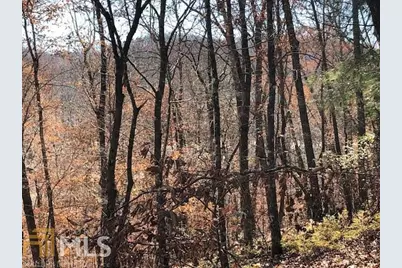 0 Forked Leaf Road #35, Cleveland, GA 30528 - Photo 7