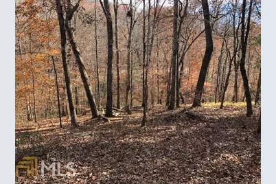 0 Forked Leaf Road #35, Cleveland, GA 30528 - Photo 5