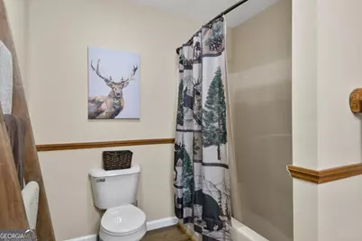 58 Optic Court #1179, 1180, Ellijay, GA 30540 - Photo 21