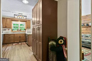 58 Optic Ct, Ellijay, GA 30540 - Photo 9