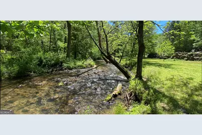 Lt 51, 53 Squirrel Hunting Road, Ellijay, GA 30536 - Photo 13