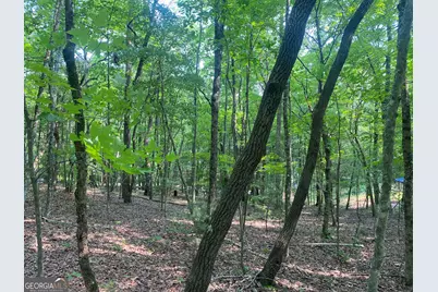 Lt 51, 53 Squirrel Hunting Road, Ellijay, GA 30536 - Photo 17