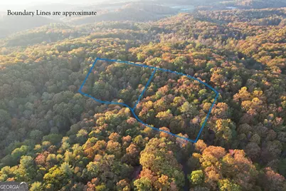 Lt 51, 53 Squirrel Hunting Road, Ellijay, GA 30536 - Photo 3