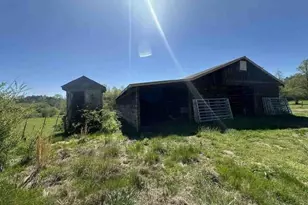 141 Doc Roof Rd, Mineral Bluff, GA 30559 - Photo 15