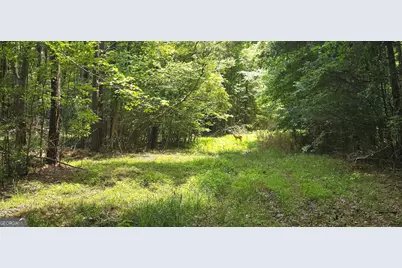 1693 S McDonough Road, Griffin, GA 30224 - Photo 63