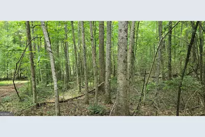 1693 S McDonough Road, Griffin, GA 30224 - Photo 61