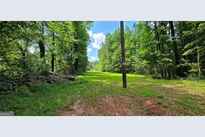 1693 S McDonough Road, Griffin, GA 30224 - Photo 9