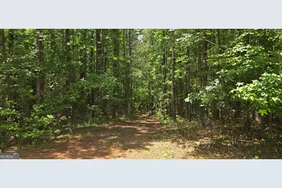 1693 S McDonough Road, Griffin, GA 30224 - Photo 19