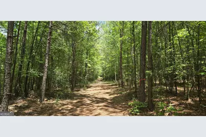 1693 S McDonough Road, Griffin, GA 30224 - Photo 17