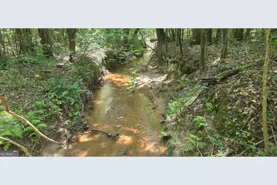 1693 S McDonough Road, Griffin, GA 30224 - Photo 33