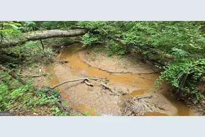 1693 S McDonough Road, Griffin, GA 30224 - Photo 59