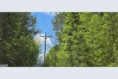 1693 S McDonough Road, Griffin, GA 30224 - Photo 91