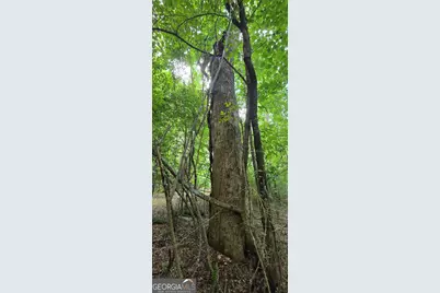 1693 S McDonough Road, Griffin, GA 30224 - Photo 57