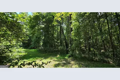 1693 S McDonough Road, Griffin, GA 30224 - Photo 65