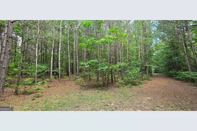 1693 S McDonough Road, Griffin, GA 30224 - Photo 39