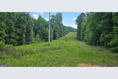 1693 S McDonough Road, Griffin, GA 30224 - Photo 41