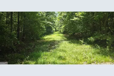 1693 S McDonough Road, Griffin, GA 30224 - Photo 35