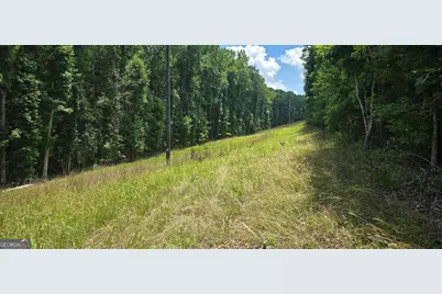 1693 S McDonough Road, Griffin, GA 30224 - Photo 23