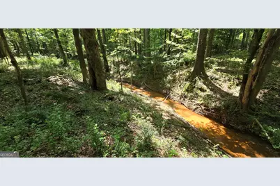 1693 S McDonough Road, Griffin, GA 30224 - Photo 69