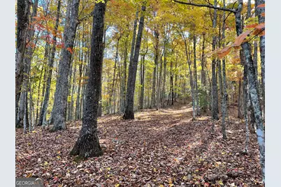 0 Royal Oaks Trail, Young Harris, GA 30582 - Photo 23