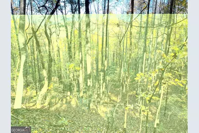 0 Royal Oaks Trail, Young Harris, GA 30582 - Photo 21