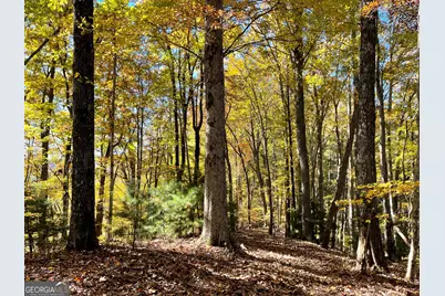 0 Royal Oaks Trail, Young Harris, GA 30582 - Photo 15