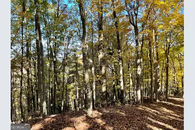 0 Royal Oaks Trail, Young Harris, GA 30582 - Photo 19