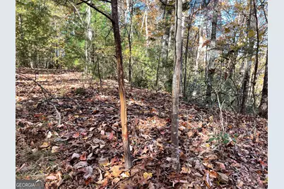 0 Royal Oaks Trail, Young Harris, GA 30582 - Photo 25