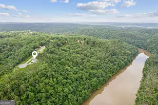 497 S Jake's Landing Way S, Ellijay, GA 30540 - Photo 45