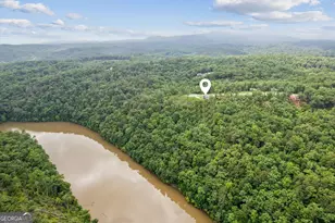 497 S Jake's Landing Way S, Ellijay, GA 30540 - Photo 45