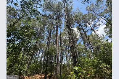 850 Buttermilk Road, Sylvania, GA 30467 - Photo 5