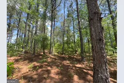 850 Buttermilk Road, Sylvania, GA 30467 - Photo 7