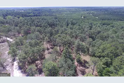0 Ben Grady Collins Road #LOT 1, Portal, GA 30450 - Photo 5
