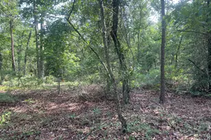 221 Flamingo Dr, Mauk, GA 31058 - Photo 11