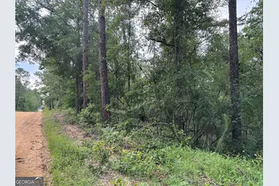 6.80 Ac Scarlet Road, Lyons, GA 30436 - Photo 5
