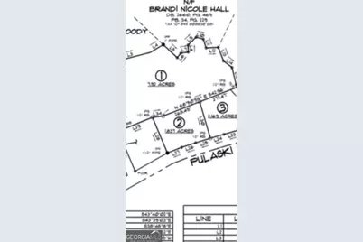 Lot 2 Pulaski Road, Statesboro, GA 30458 - Photo 5