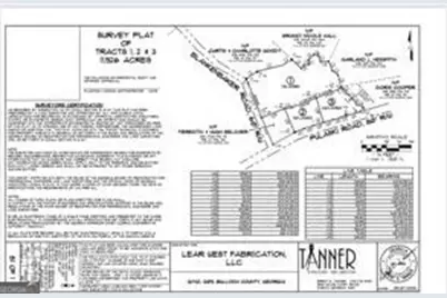 Lot 2 Pulaski Road, Statesboro, GA 30458 - Photo 7