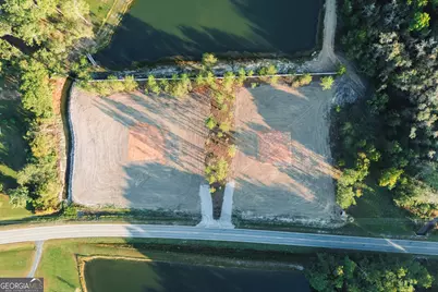 Lot 3 Pulaski Road, Statesboro, GA 30458 - Photo 9