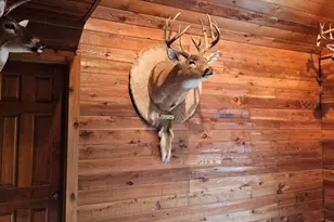 1755 Hunsinger Rd, Shiloh, GA 31826 - Photo 53