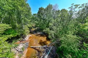 1755 Hunsinger Rd, Shiloh, GA 31826 - Photo 51