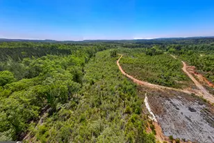 1755 Hunsinger Rd, Shiloh, GA 31826 - Photo 43