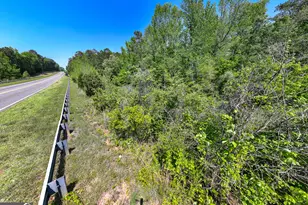 1755 Hunsinger Rd, Shiloh, GA 31826 - Photo 63