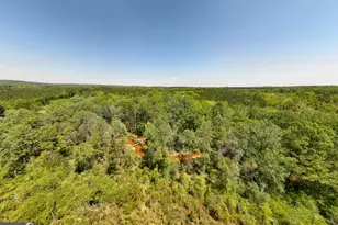 1755 Hunsinger Rd, Shiloh, GA 31826 - Photo 35