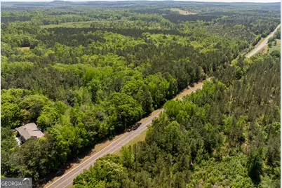 1755 Hunsinger Road, Shiloh, GA 31826 - Photo 27