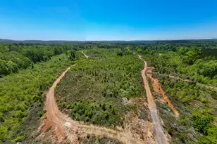 1755 Hunsinger Rd, Shiloh, GA 31826 - Photo 47