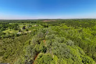 1755 Hunsinger Rd, Shiloh, GA 31826 - Photo 37