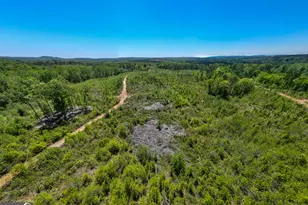 1755 Hunsinger Rd, Shiloh, GA 31826 - Photo 45